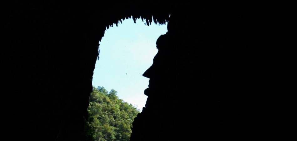 Deer cave mulu national park image